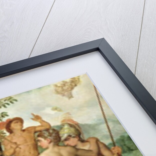 The Judgement of Paris, 1548 by Frans Floris