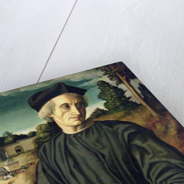 Portrait of Pope Hadrian VI as a Priest, 1525 by Francesco Ubertini Il Bacchiacca