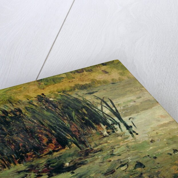 Reeds in Shallow Water by Paul Baum