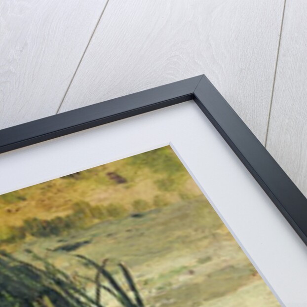 Reeds in Shallow Water by Paul Baum