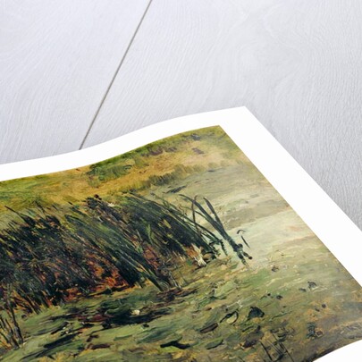 Reeds in Shallow Water by Paul Baum