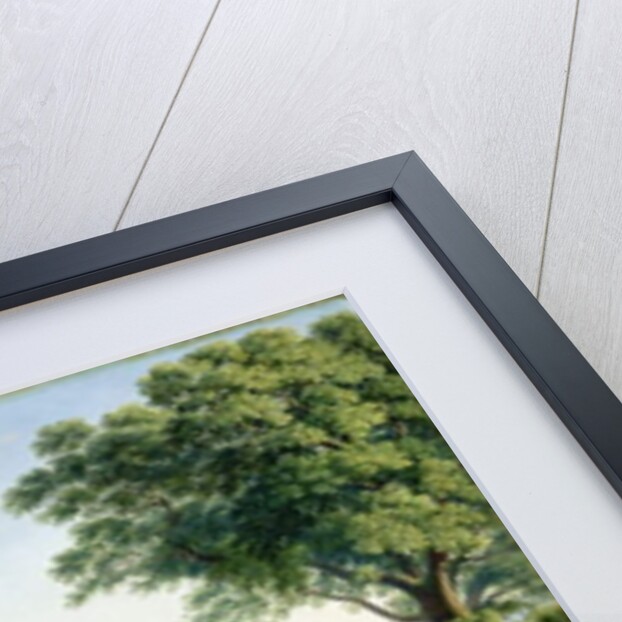 Wilhelmshoehe Castle with the Habichtswald Forest by Johann Erdmann Hummel