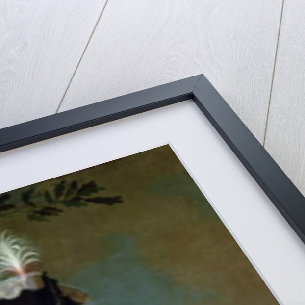 Wilhelm IX Landgrave of Hessen-Kassel, c.1795 by Wilhelm Boettner