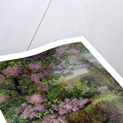 Blooming Lilacs in front of a Wall by Emilie von der Embde