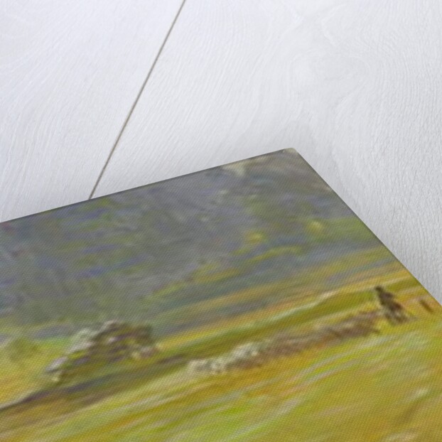 The Meadow Valley near Pretzfeld, c.1898 by Curt Herrmann