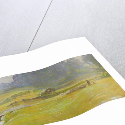 The Meadow Valley near Pretzfeld, c.1898 by Curt Herrmann