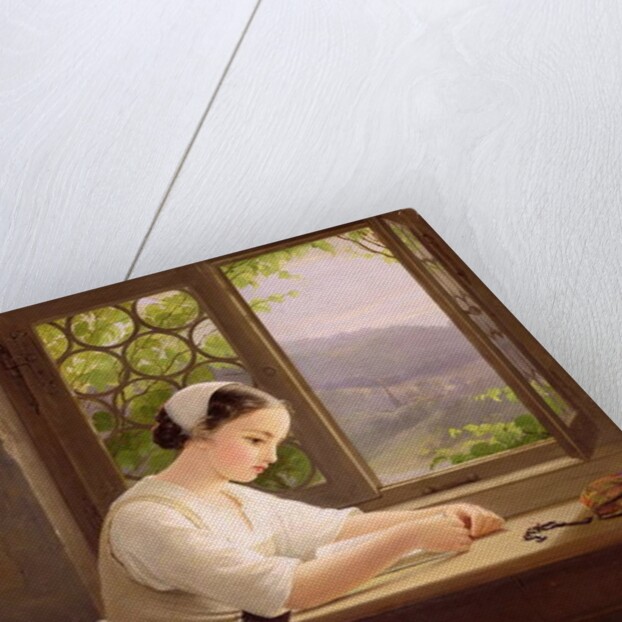 Girl reading by an open window by Caroline von der Embde