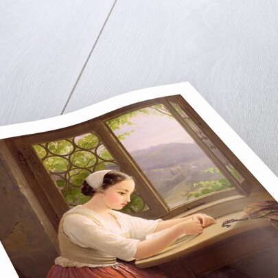 Girl reading by an open window by Caroline von der Embde