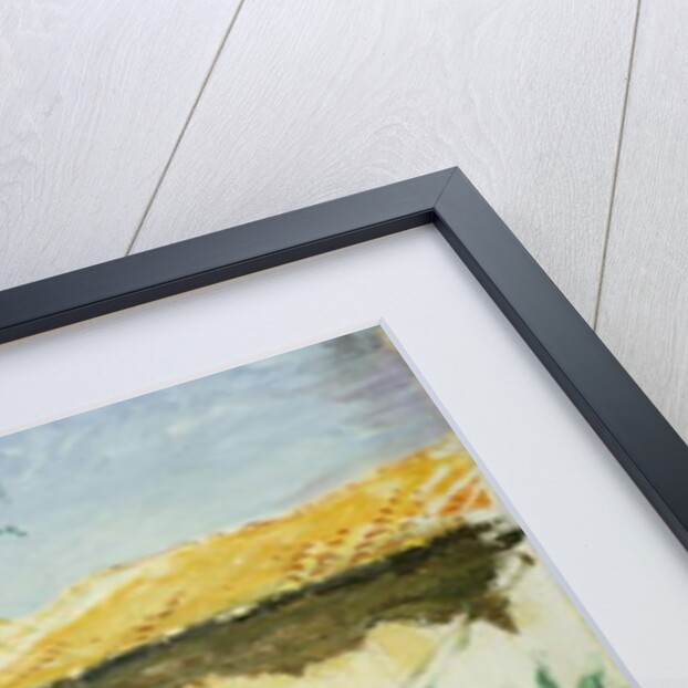 Southern Farm House with Flowerbed by Hans Olde