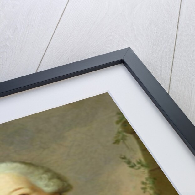 Landgrave Carl as a Child by Johann Heinrich Tischbein