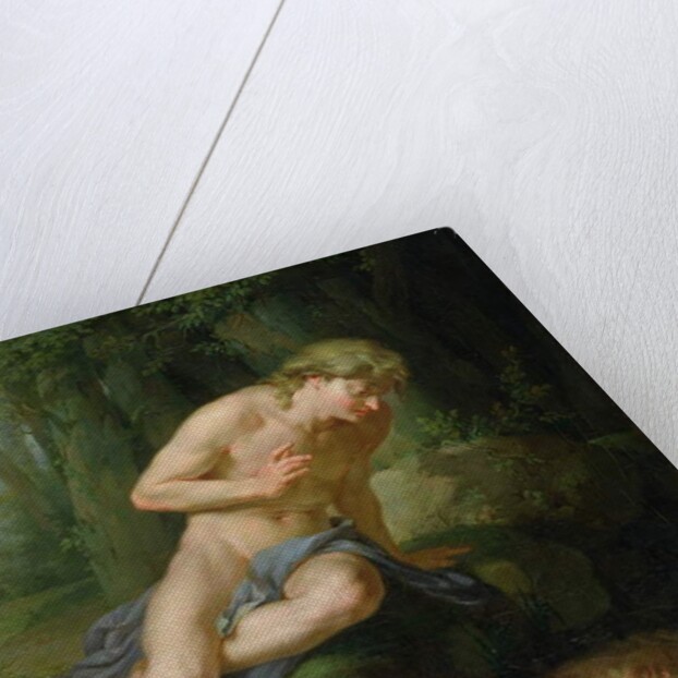 Narcissus, c.1770 by Johann Heinrich Tischbein