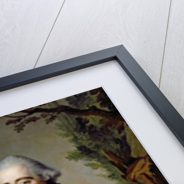 Frederick II, Landgrave of Hessen-Kassel, c.1773 by Johann Heinrich Tischbein