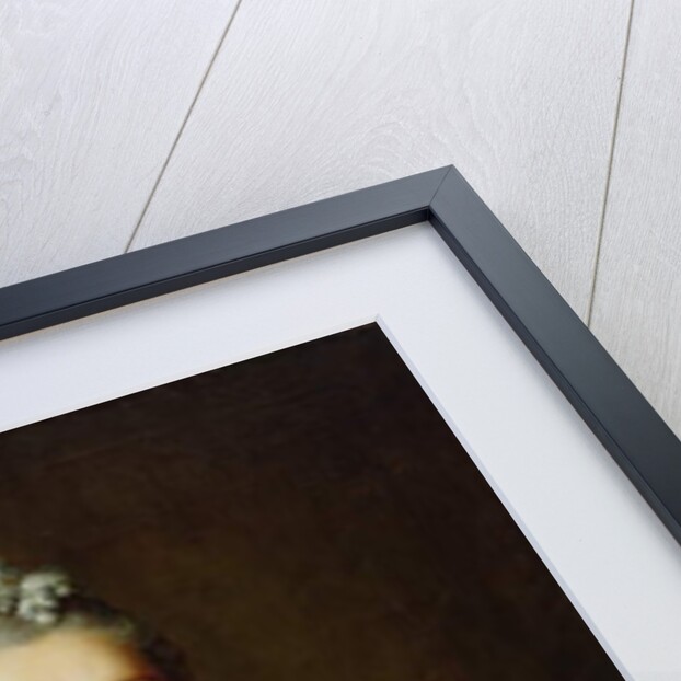 The Artist's Second Wife, Julie Marianne Pernette, nee Robert, 1762 by Johann Heinrich Tischbein