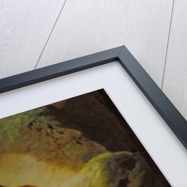 Acis and Galatea, 1758 by Johann Heinrich Tischbein