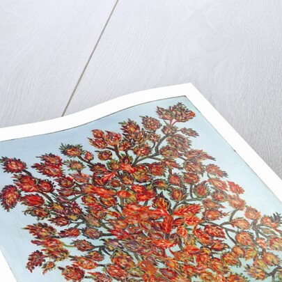 Dream of a Plant by Seraphine (1864-1942) Louis