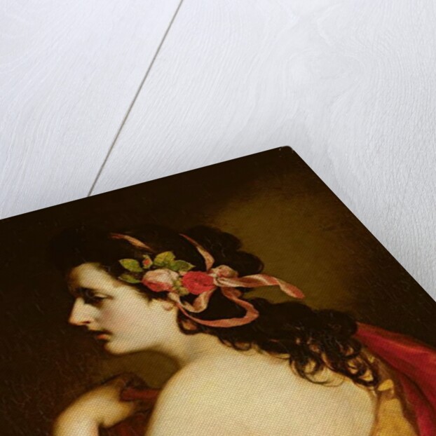 Portrait of a Young Girl, 1865 by Friedrich von Amerling