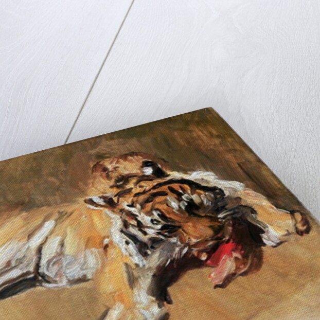 Feeding Tiger, 1901 by Max Slevogt