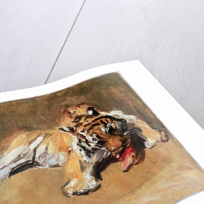 Feeding Tiger, 1901 by Max Slevogt