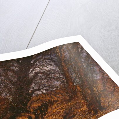 Autumn Gale by Carl Strathmann