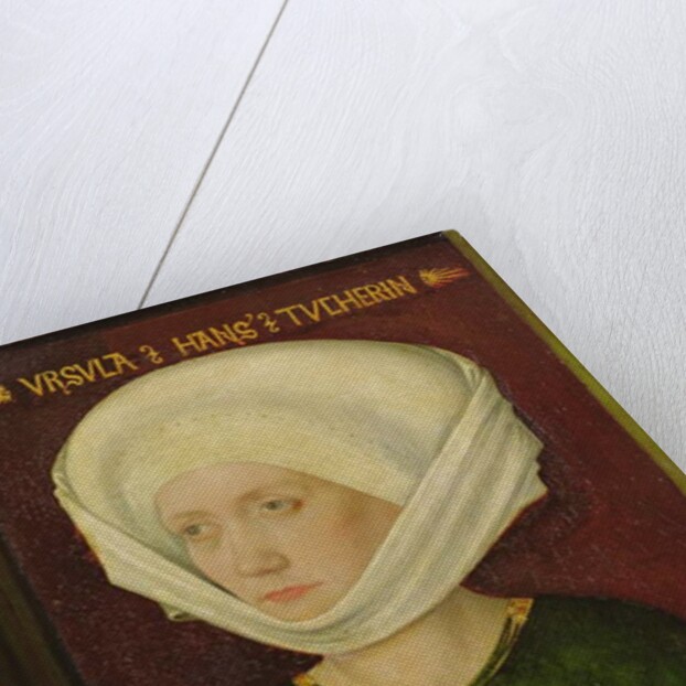 Portrait of Ursula Tucher, 1478 by Michael Wolgemut or Wolgemuth