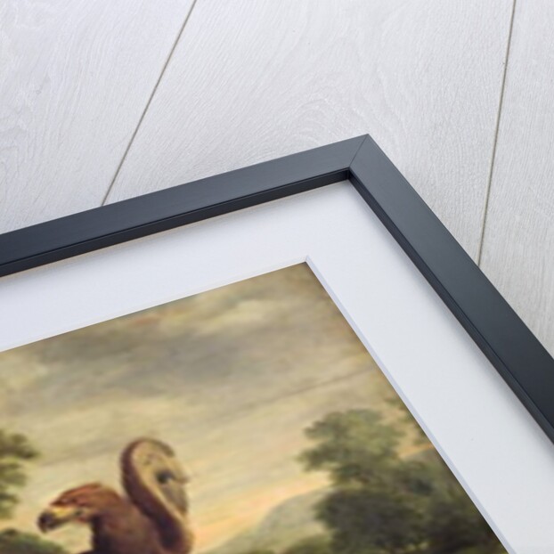 Jupiter and Callisto, 1613 by Peter Paul Rubens