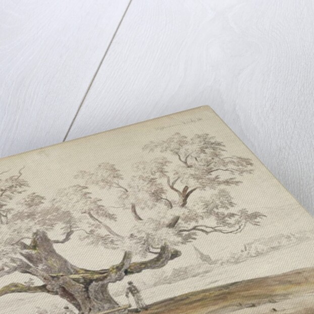 View of Wolfershausen bei Meiningen with an Old Oak Tree, 1844 by Carl Ernst Ludwig Wagner