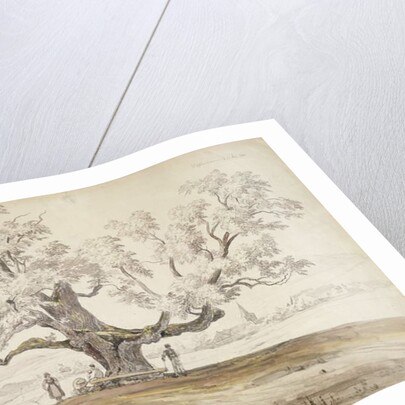 View of Wolfershausen bei Meiningen with an Old Oak Tree, 1844 by Carl Ernst Ludwig Wagner