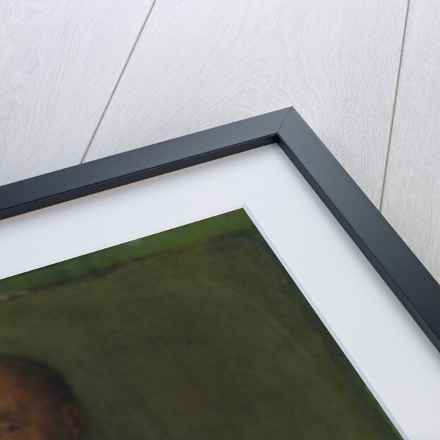 Portrait of Annas Duke of Montemorency, Constable of France by German School