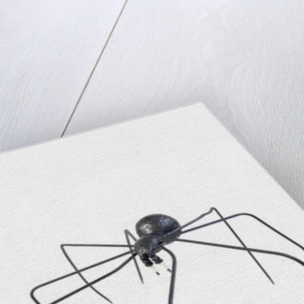 The Black Spider, 2005 by Lawrie Simonson