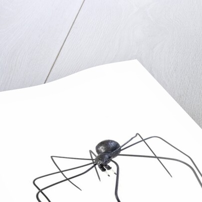 The Black Spider, 2005 by Lawrie Simonson