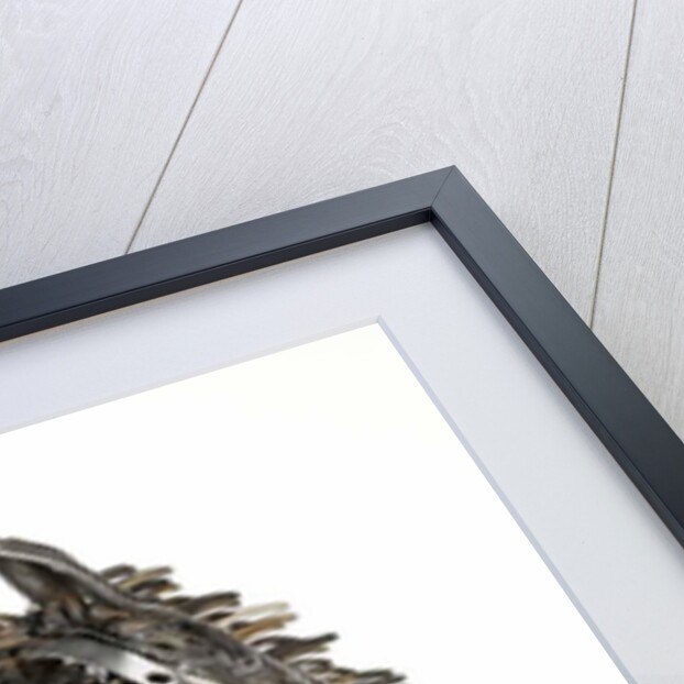 Warhorse by Lawrie Simonson