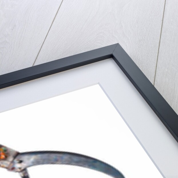 The Stork, 2009 by Lawrie Simonson