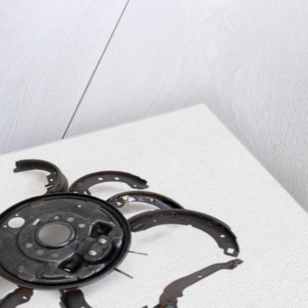 The Crab, 2005 by Lawrie Simonson