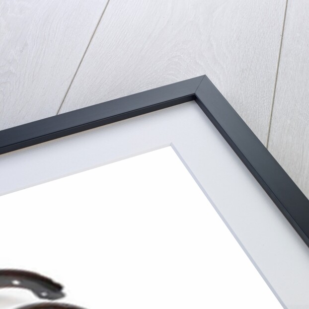 The Crab, 2005 by Lawrie Simonson