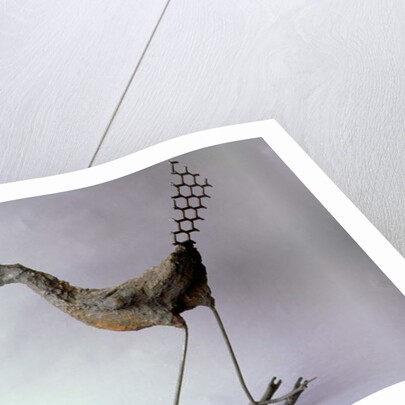 The Curlew, 1996 by Lawrie Simonson