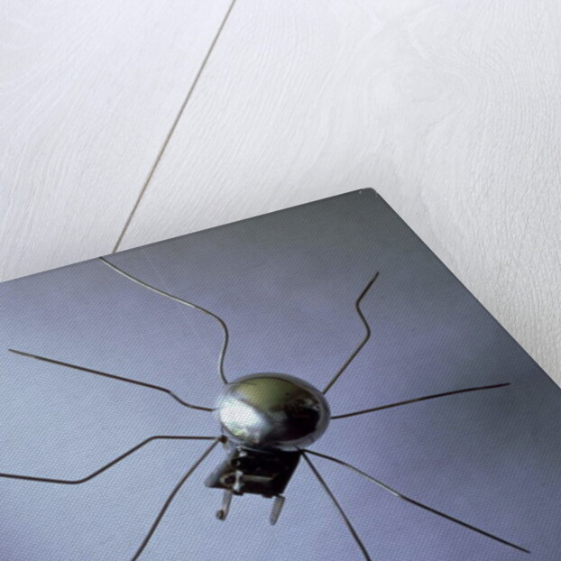 The Spider, 1996 by Lawrie Simonson