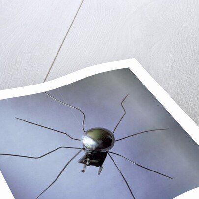 The Spider, 1996 by Lawrie Simonson