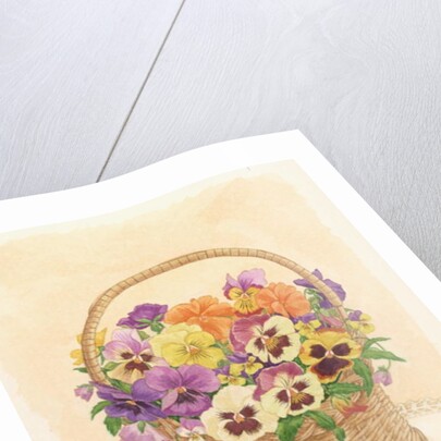 Basket of Pansies, 1998 by Linda Benton