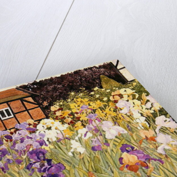 Irises by Linda Benton