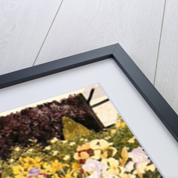 Irises by Linda Benton