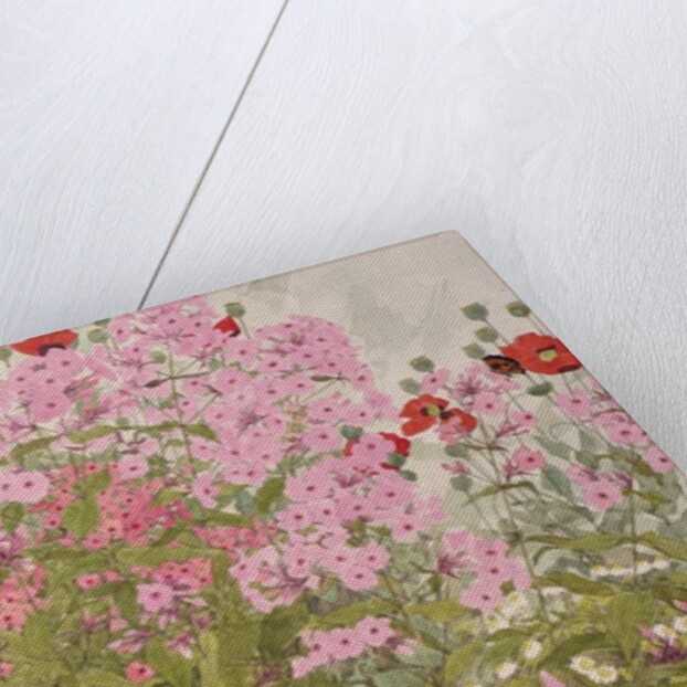 Pink Phlox and Poppies with a Butterfly by Linda Benton