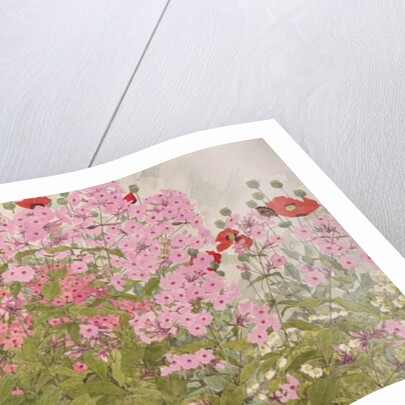 Pink Phlox and Poppies with a Butterfly by Linda Benton