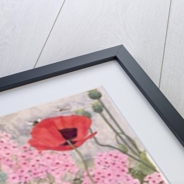 Poppies and Phlox by Linda Benton