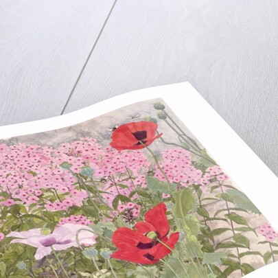 Poppies and Phlox by Linda Benton
