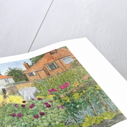 Allotments and Dahlias by Linda Benton