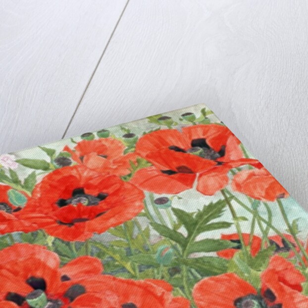 Poppies by Linda Benton