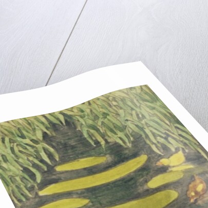 Mother Duck in the pond with her ducklings by Linda Benton