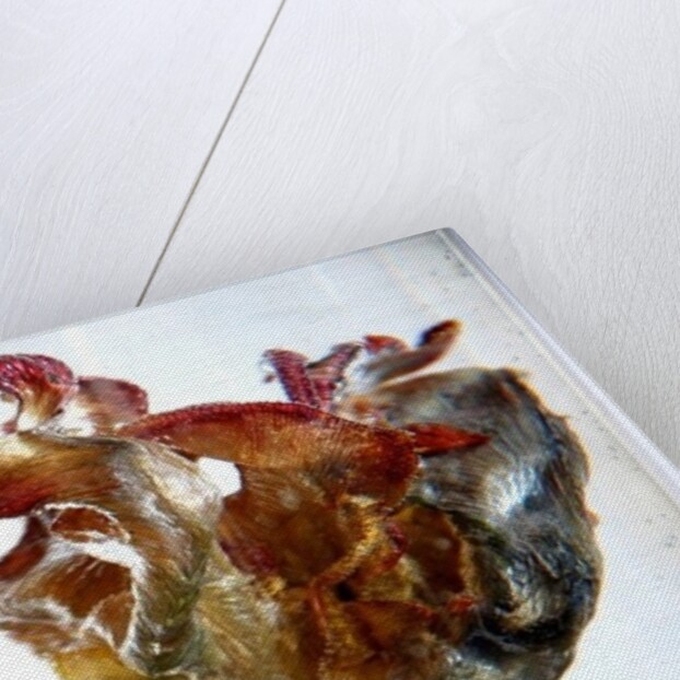 Water Tulip 4, 2013 by Lou Gibbs