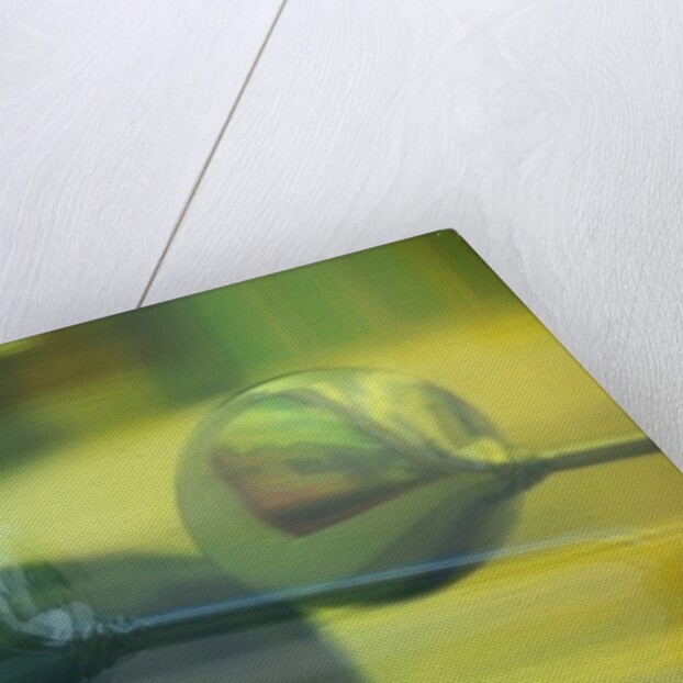 Here's Looking At You, 2013 by Lou Gibbs