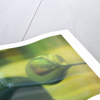 Here's Looking At You, 2013 by Lou Gibbs